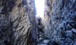 Klettersteig Ellmauer Halt - Gamsängersteig, Abstieg über Leiter