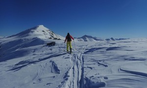 Skitour Eisenreich - kurz vor dem Gipfel