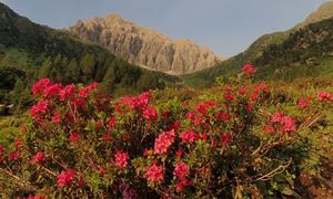 Bergtour Porze - Tourbild