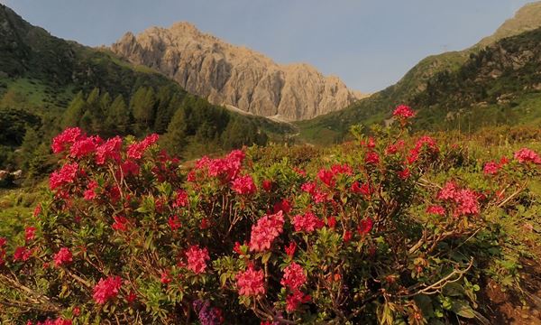 Tourbild - Bergtour Porze (Osttirol)