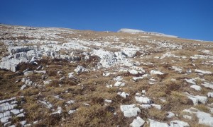 Bergtour Unterebenkofel - Aufstieg Hochebene