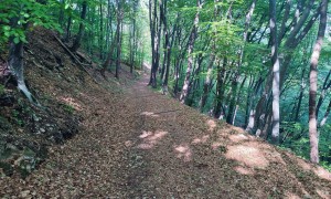 Klettersteig Fennberg - Abstieg