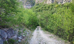 Klettersteig Fennberg - Abstieg