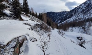 Skitour Schöntalhöhe - Zustieg Schustertal, Rückblick