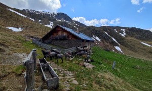 Salzsteig ins Volkzein - Leisacher Alm