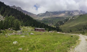 Bergtour Große Windschar - Rückweg, bei der Oberwanger Alm