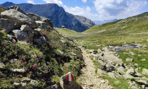 Bergtour Debantgrat - Abstieg zur Hochschoberhütte