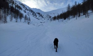 Skitour Blankenstein - Zustieg Marchental