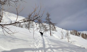 Skitour Blankenstein - Aufstieg