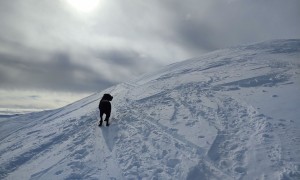 Skitour Blankenstein - Schlussaufstieg