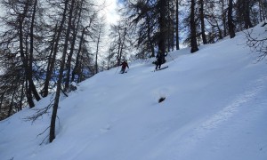 Skitour Blankenstein - steile Abfahrt im Wald