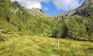 Bergtour Großer Friedrichskopf - Aufstieg, Fleckmoos