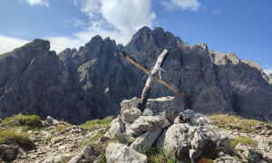 Bergtour Südtirol Haunoldköpfl - Tourbild